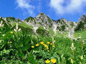 【天空の絶景】駒ヶ岳ロープウェイチケット付きプラン画像その1