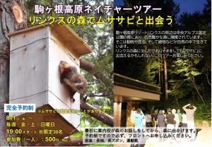 リンクスの森ムササビと出会う