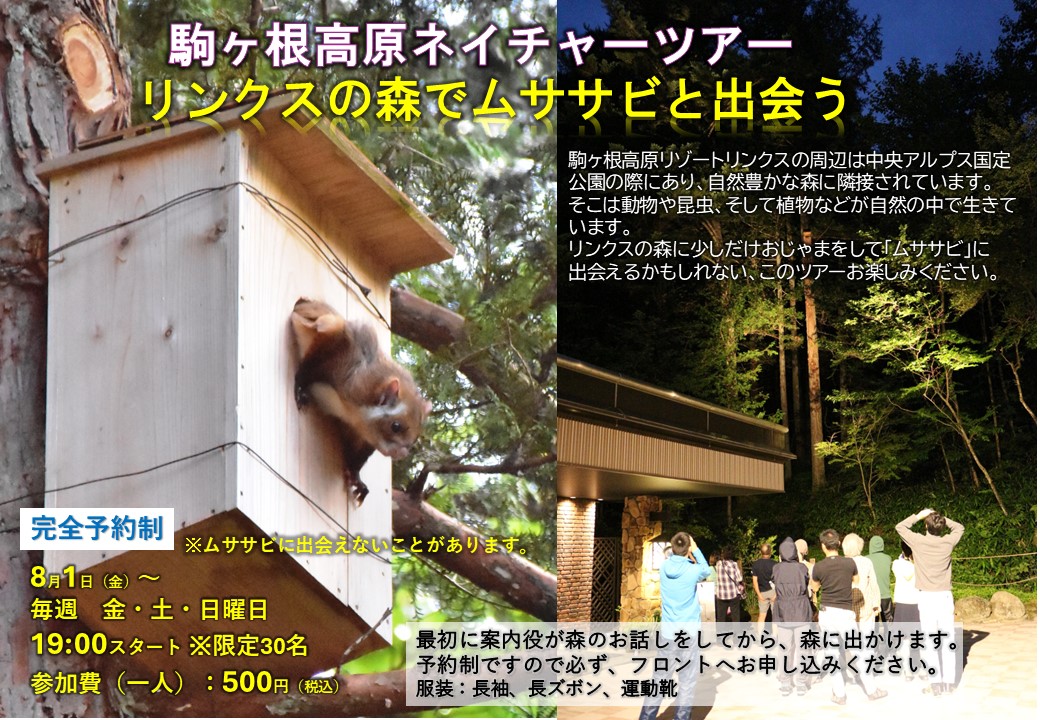 リンクスの森ムササビと出会う